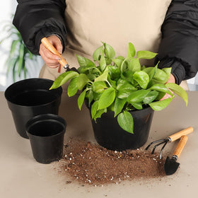 RooTrimmer 6 inch pot stackable design for space-saving seedling trays