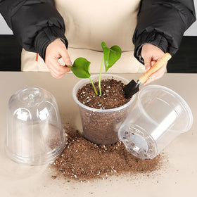 RooTrimmer 6inch seed-start pots suitable for starting plants at home.