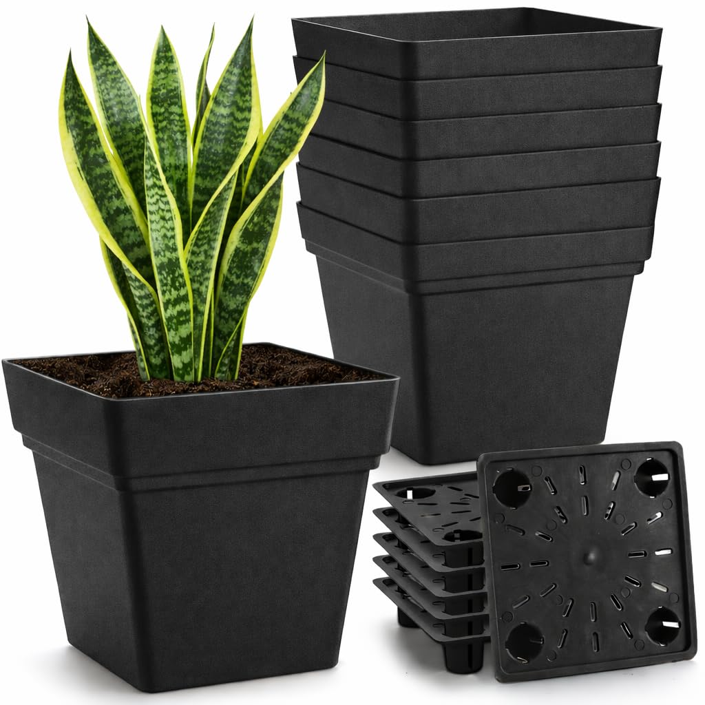 RooTrimmer 6-pack 7-inch square planter with built-in drainage tray for safe water management.