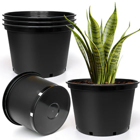 RooTrimmer 7-gallon plastic pots offer generous root space for thriving plants.