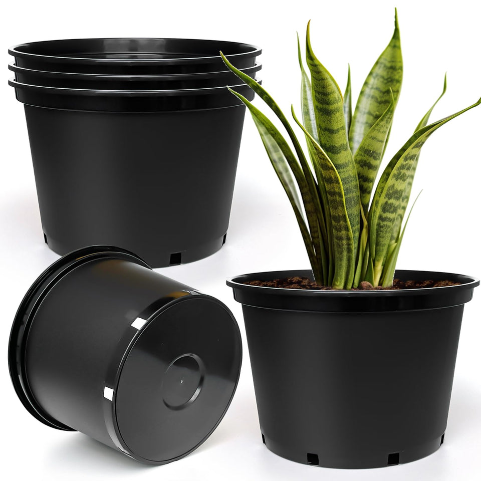 RooTrimmer 7-gallon plastic pots offer generous root space for thriving plants.