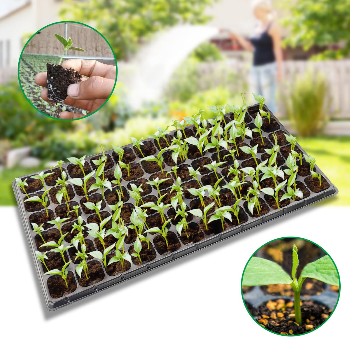 RooTrimmer 72-cell plug tray side profile shows sturdy construction