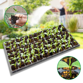 RooTrimmer 72-cell plug tray side profile shows sturdy construction
