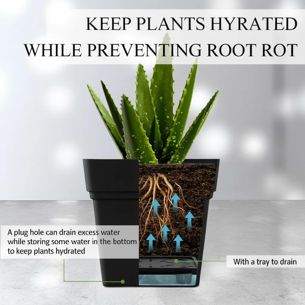 RooTrimmer matte-finish planter showcases modern style while protecting surfaces.