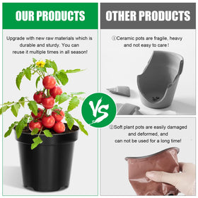 RooTrimmer pot with eight drainage holes enhances healthy watering.