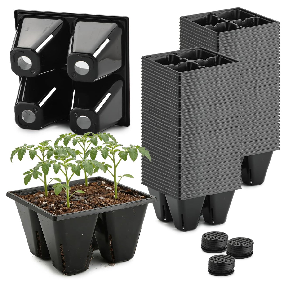 RooTrimmer 80-pack seed starter tray 4-cell for organized germination and reuse