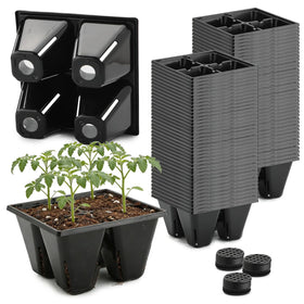 RooTrimmer 80-pack seed starter tray 4-cell for organized germination and reuse