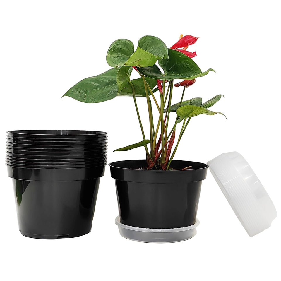 RooTrimmer 8-inch black plastic pot ready for indoor herb planting.