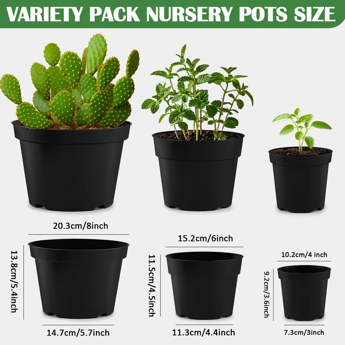 RooTrimmer 8 inch pot bottom drainage holes support mature transplanting