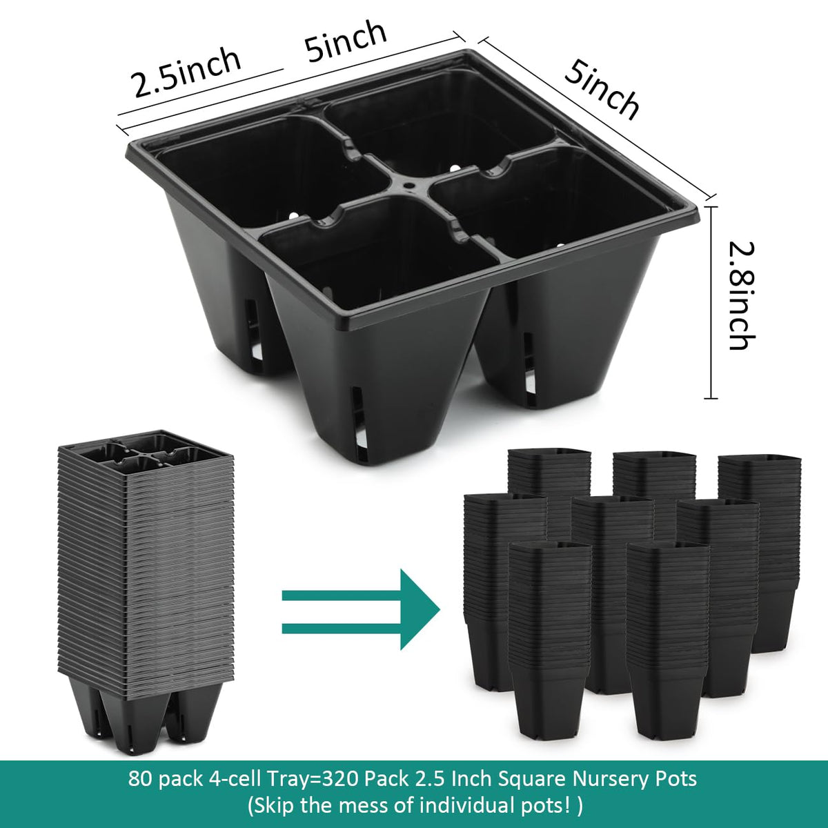 RooTrimmer air pruning slits encourage healthy root development in each cell