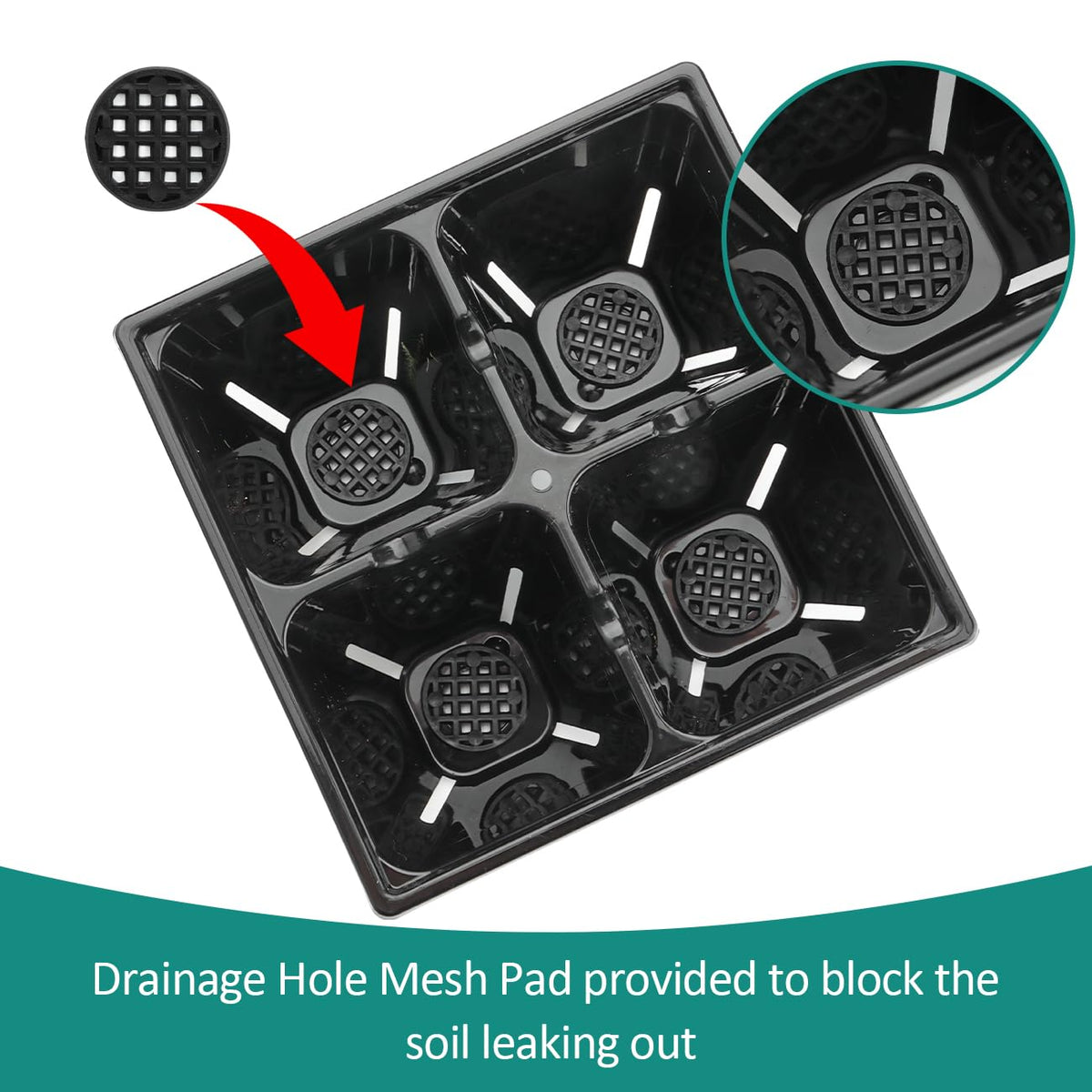 RooTrimmer air pruning slots support robust root development.