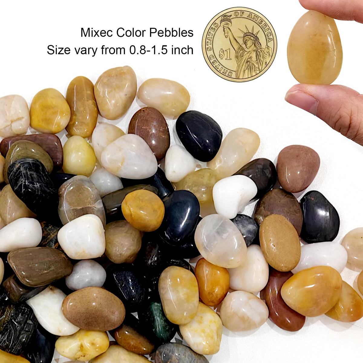 RooTrimmer aquarium rocks colorful pebbles brighten fish tanks and water features