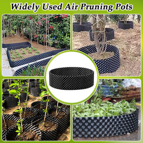 RooTrimmer assembled 4ft bed demonstrates easy, tool-free setup for spacious gardening