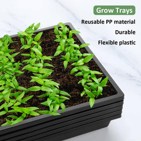 Versatile RooTrimmer tray for bonsai and cat grass applications