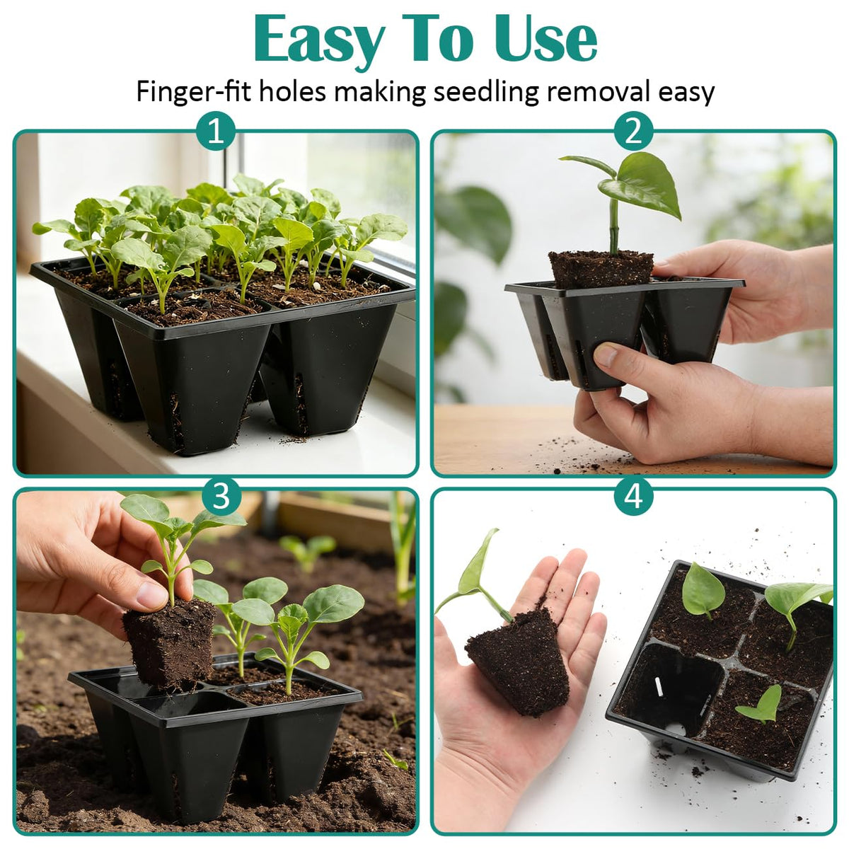 RooTrimmer tray bottom drainage holes promote proper watering and drainage