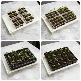 RooTrimmer bottom watering design maintains even moisture for seedlings.