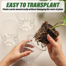 RooTrimmer BPA-free clear seeding pot for safe seedling development.