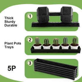 RooTrimmer BPA-free plastic saucer is a safe, reusable plant tray