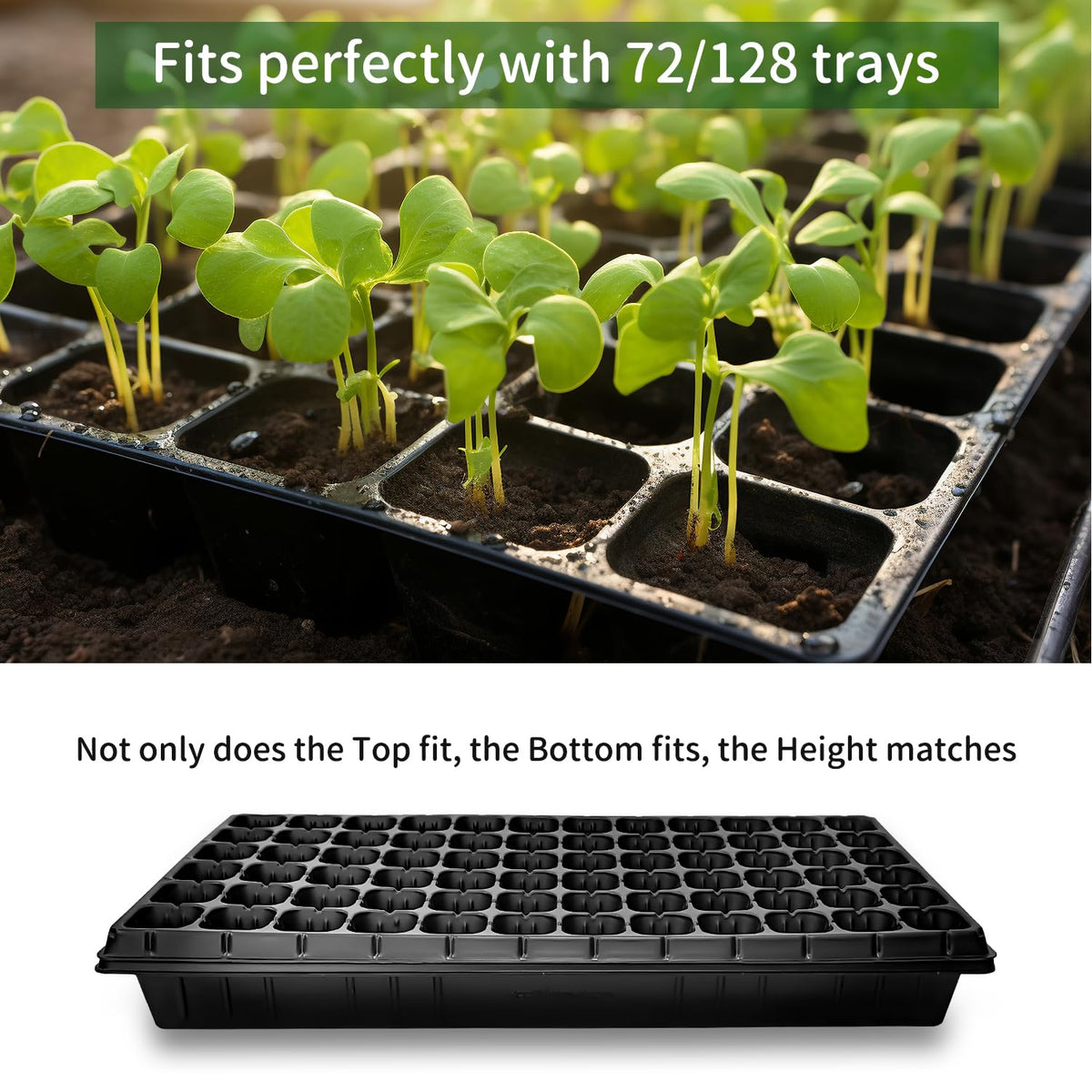 RooTrimmer BPA-free plastic tray is extra thick and durable