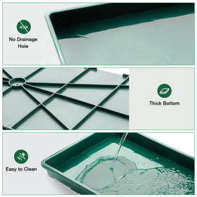 RooTrimmer BPA-free plastic trays ensure safe, durable seed starting