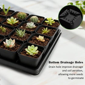 RooTrimmer BPA-free plastic used for safe reusable seed starting.