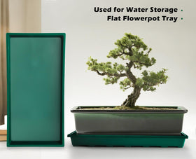 RooTrimmer carrying-friendly trays make moving seedlings easier