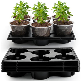 RooTrimmer clear 6-inch pot for healthy seedling viewing and easy root inspection.