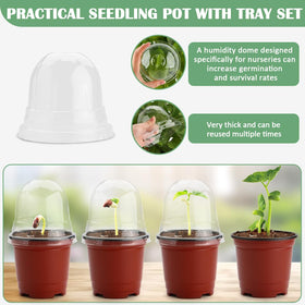 RooTrimmer clear lids let you observe growth without opening pots
