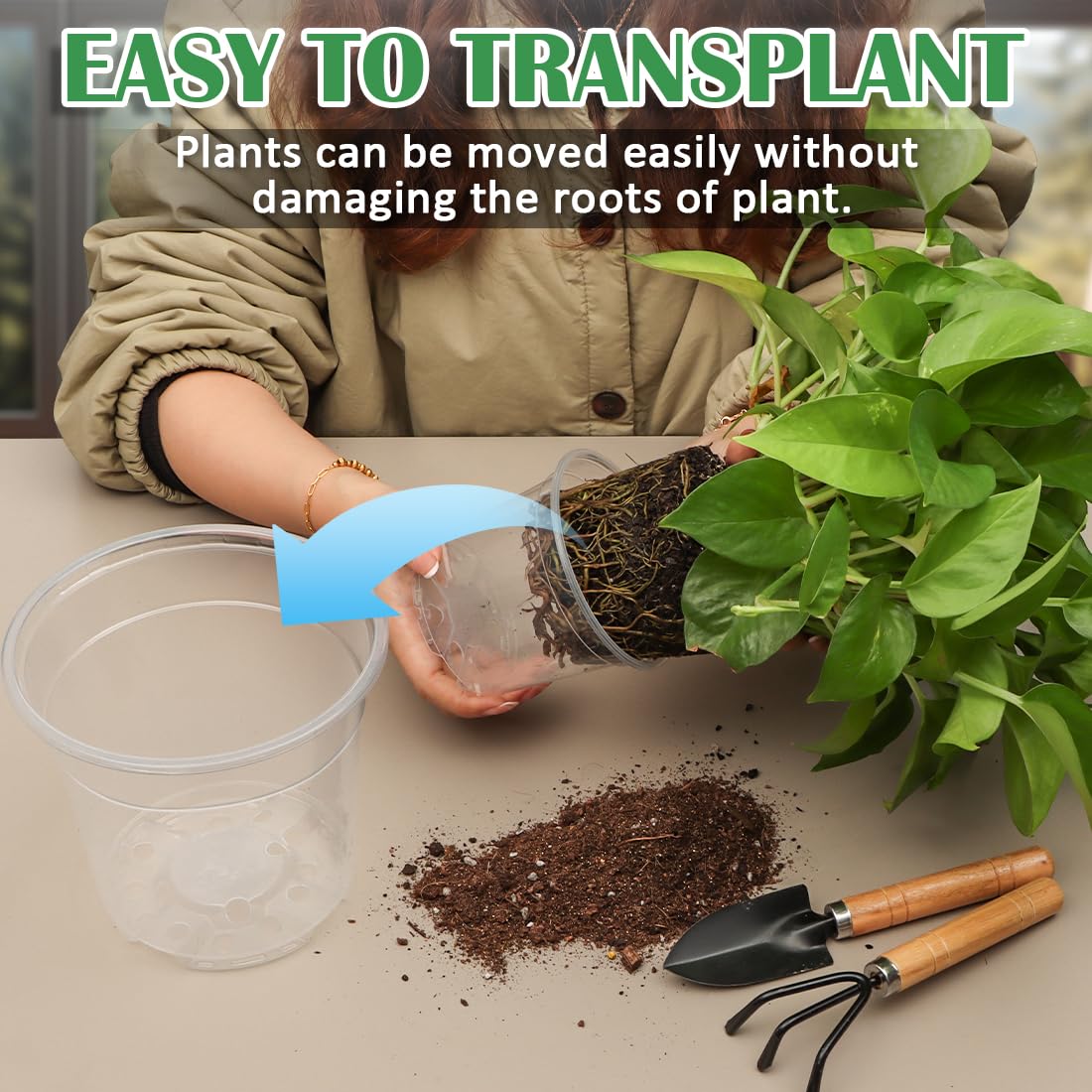 RooTrimmer clear nursery pot 3-inch perfect for cuttings and compact herb starts.