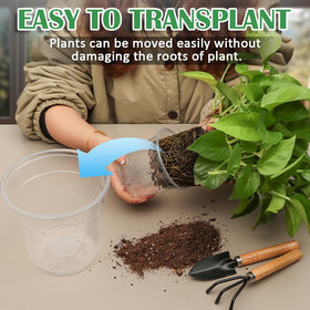 RooTrimmer clear nursery pot 3-inch perfect for cuttings and compact herb starts.