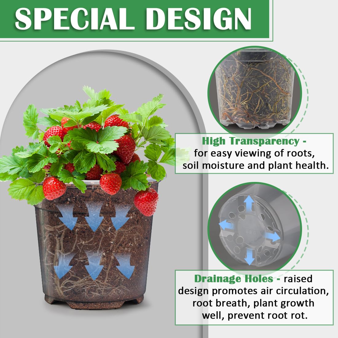 RooTrimmer clear nursery pot 4-inch ideal for seed starting and seedling growth.