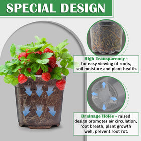 RooTrimmer clear nursery pot 4-inch ideal for seed starting and seedling growth.