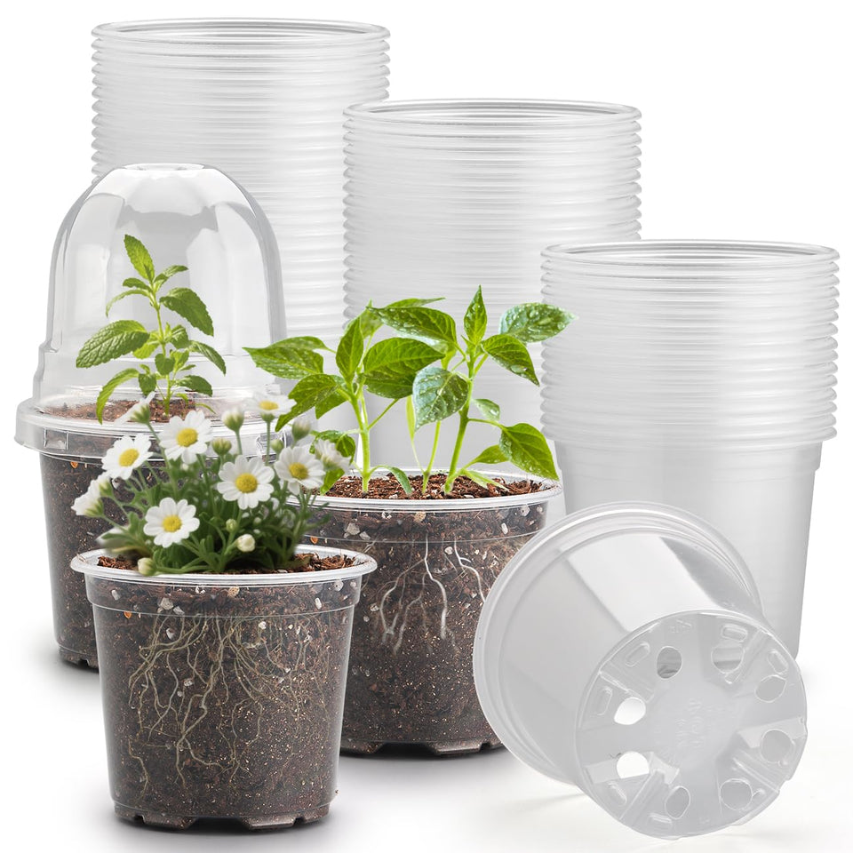 RooTrimmer clear nursery pot 4 inch with visibility for quick root monitoring and seedling growth