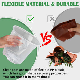 RooTrimmer clear nursery pot 5-inch highlighting roots and drainage.