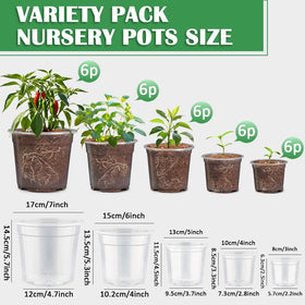 RooTrimmer clear nursery pot 6-inch for quick root checks and transplant readiness.