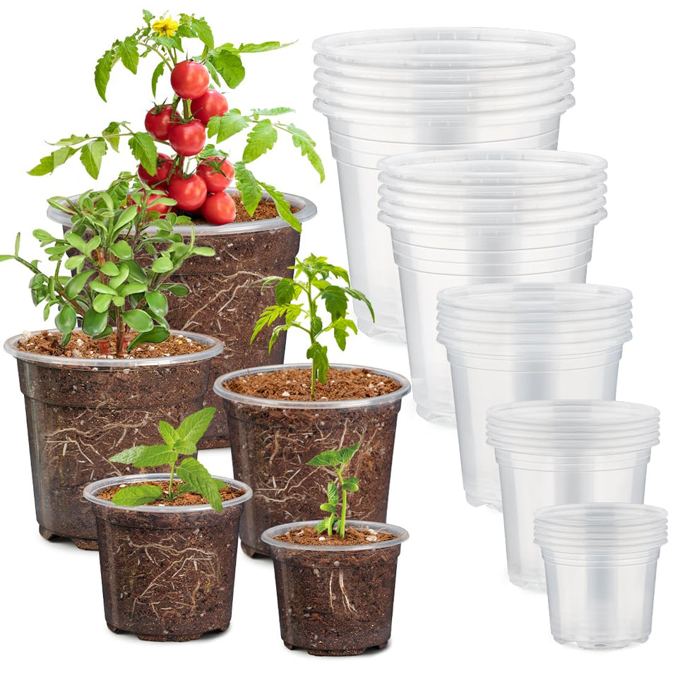 RooTrimmer clear nursery pot 7-inch for visible root health and easy watering.