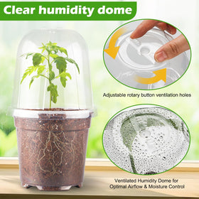 RooTrimmer clear nursery pot with drainage holes promotes healthy root growth.