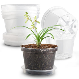 RooTrimmer 8-inch clear pot with saucer, shows root space and watering cues.