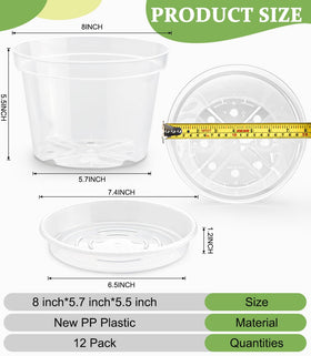 RooTrimmer clear nursery pot, drainage holes visible, promotes healthy airflow.