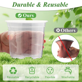 RooTrimmer transparent pots enable easy monitoring and quick root checks during propagation