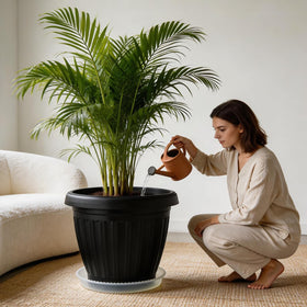 RooTrimmer clear saucer on patio protecting floors while showcasing plants