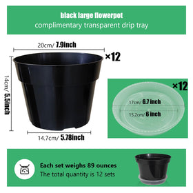RooTrimmer clear saucer underpot preventing spills and catching excess water.
