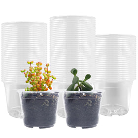 RooTrimmer clear seedling pot 2.8 inches lets you monitor germination progress.