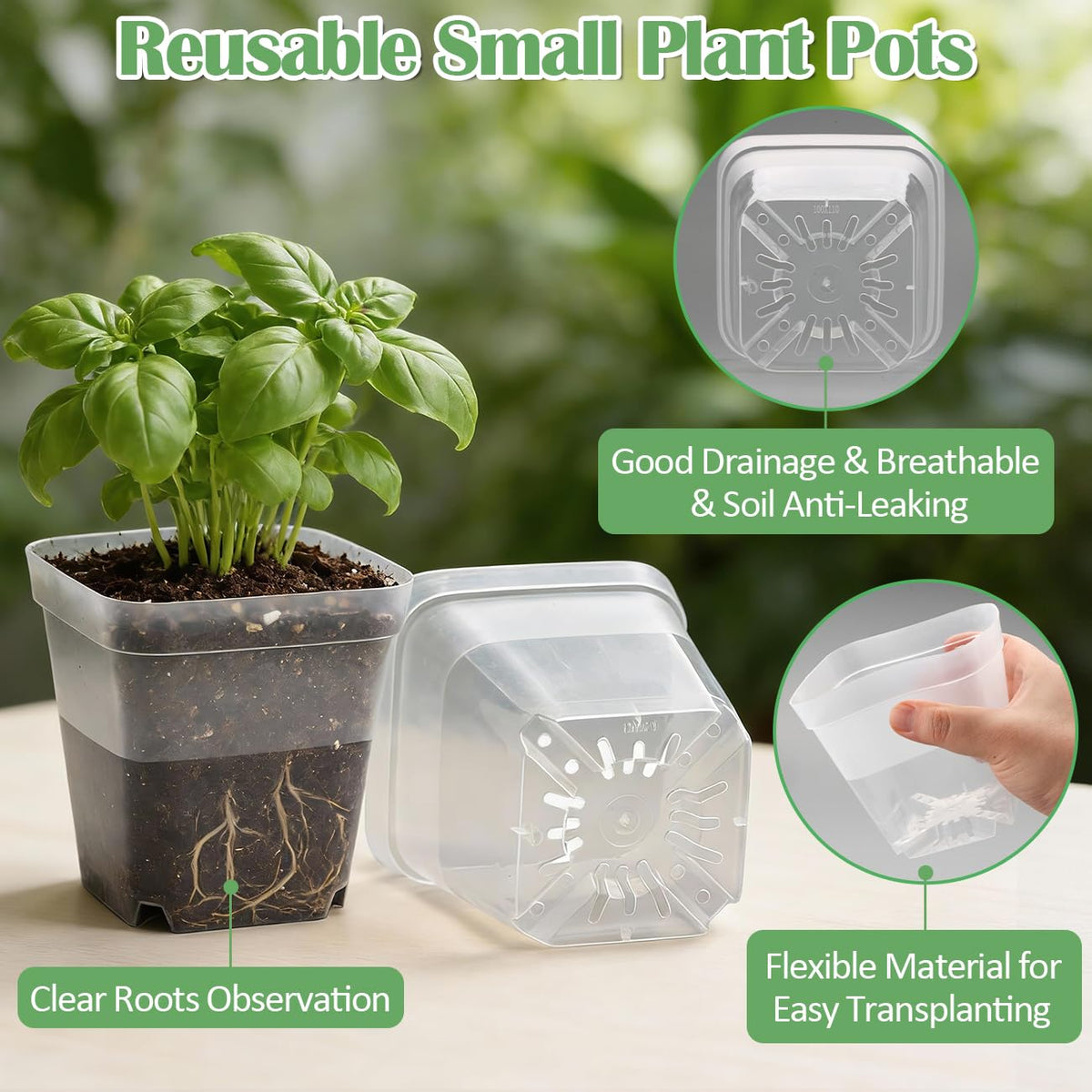 RooTrimmer clear square pot 4-inch side view shows transparent base for moisture checks.