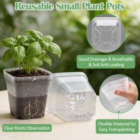 RooTrimmer clear square pot 4-inch side view shows transparent base for moisture checks.
