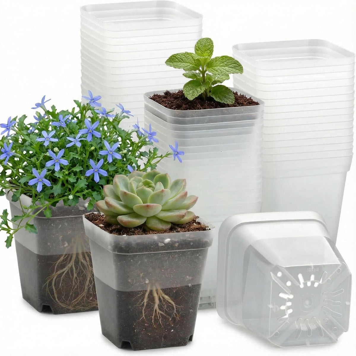 RooTrimmer clear square pot 4-inch top view for easy root observation and space-saving setup.