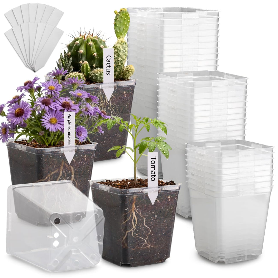 RooTrimmer clear square pot shows roots for easy moisture checks and reusable long-term use