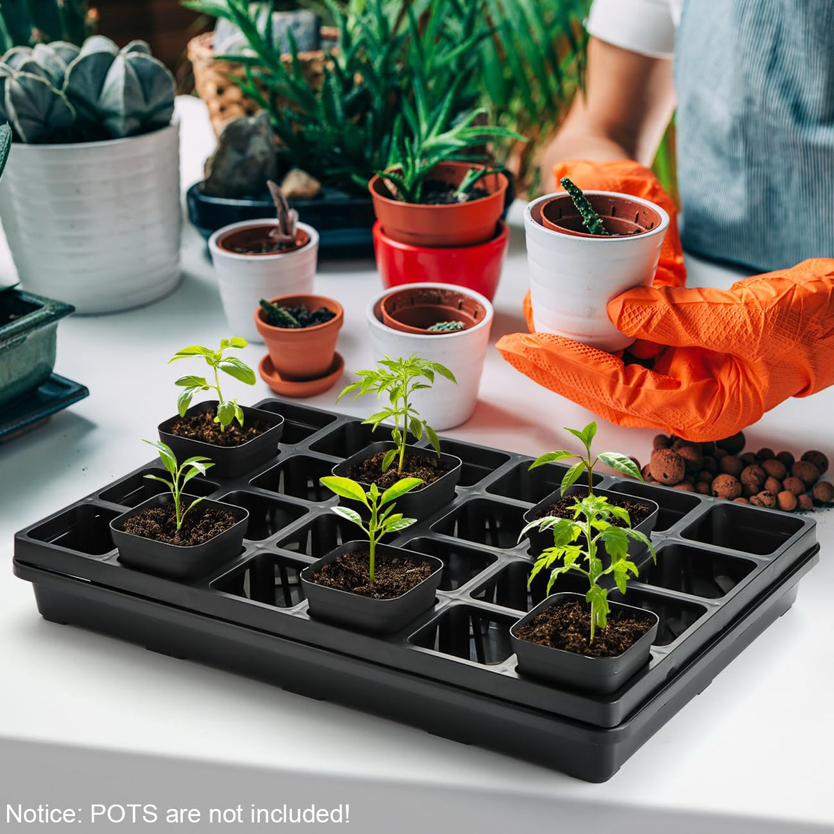 RooTrimmer compact tray facilitates moving seedlings between spaces