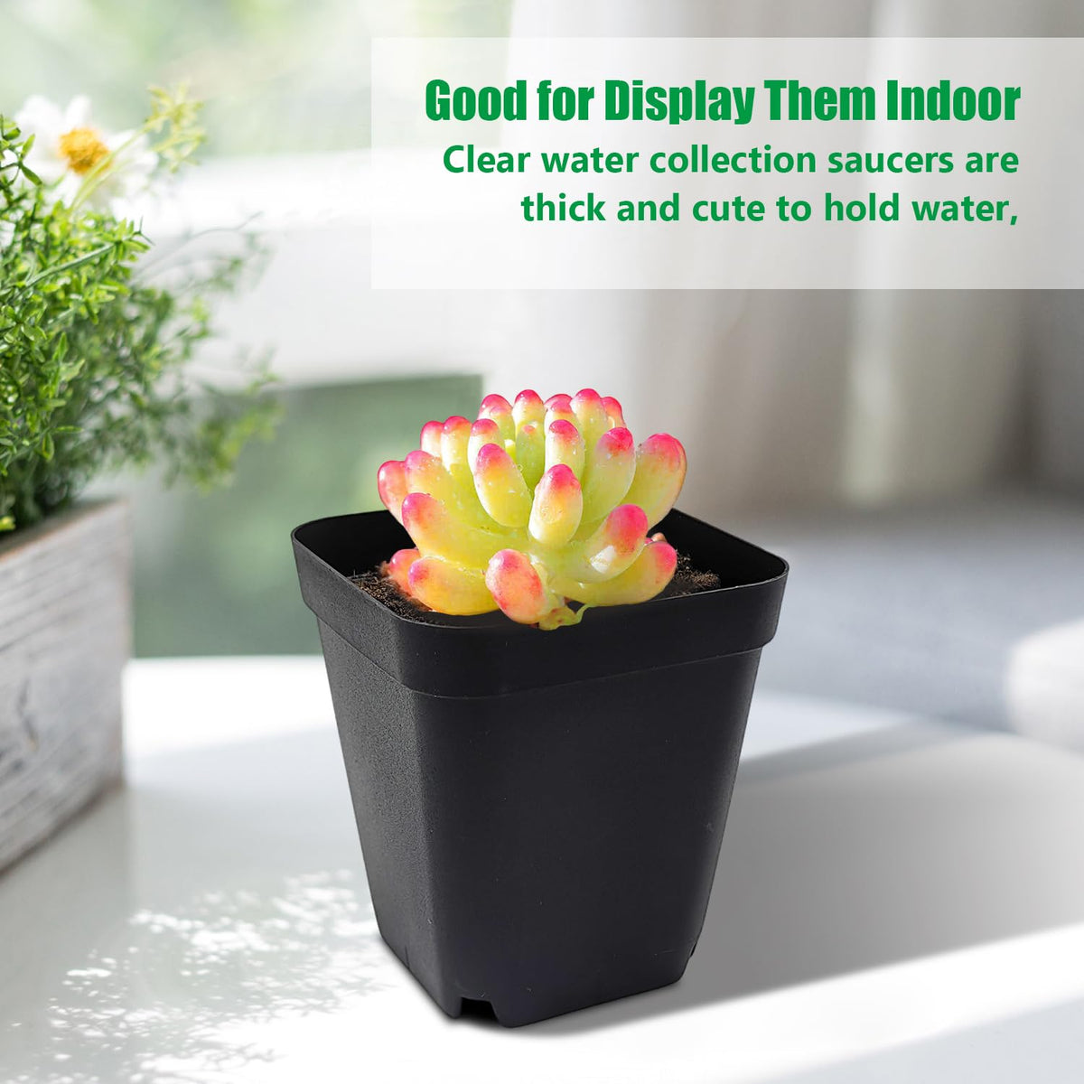 RooTrimmer compact 3in seedling pot for desk or balcony