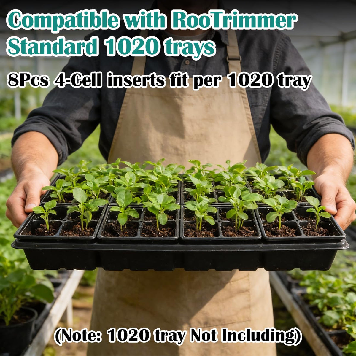 RooTrimmer compatible with standard 1020 trays for easy setup